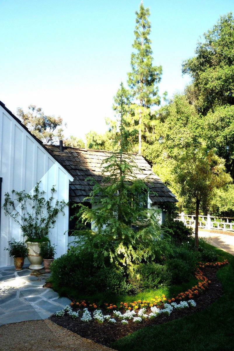 Cottage Garden