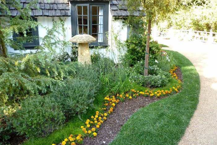 Cottage Garden